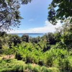 Property photo for land for sale in  County Panama