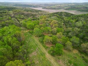 Property photo for land for sale in Ozark County Missouri