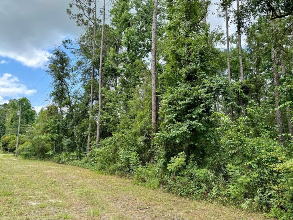 Property photo for land for sale in Madison County Florida