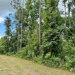 Property photo for land for sale in Madison County Florida