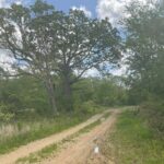 Property photo for land for sale in Texas County Missouri