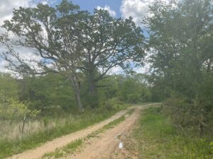 Property photo for land for sale in Texas County Missouri