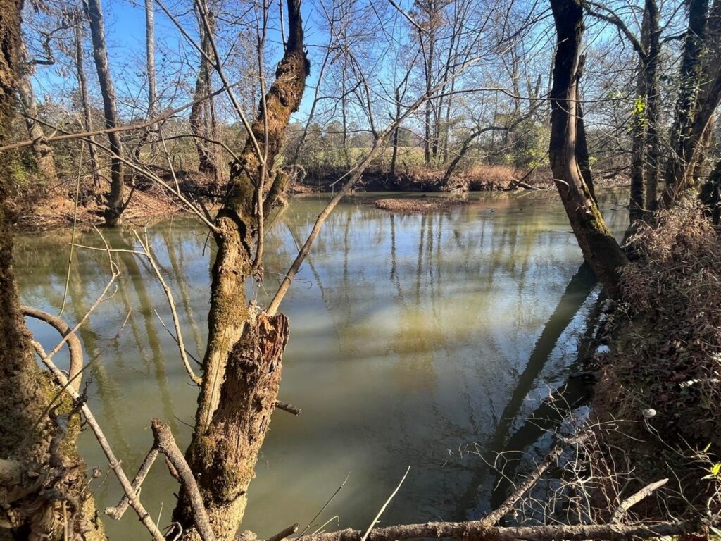 Property photo for land for sale in Polk County Tennessee