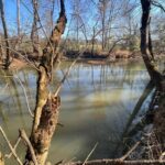 Property photo for land for sale in Polk County Tennessee