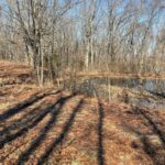 Property photo for land for sale in Douglas County Missouri