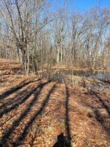 Property photo for land for sale in Douglas County Missouri