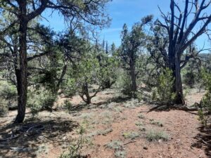 Property photo for land for sale in Yavapai County Arizona