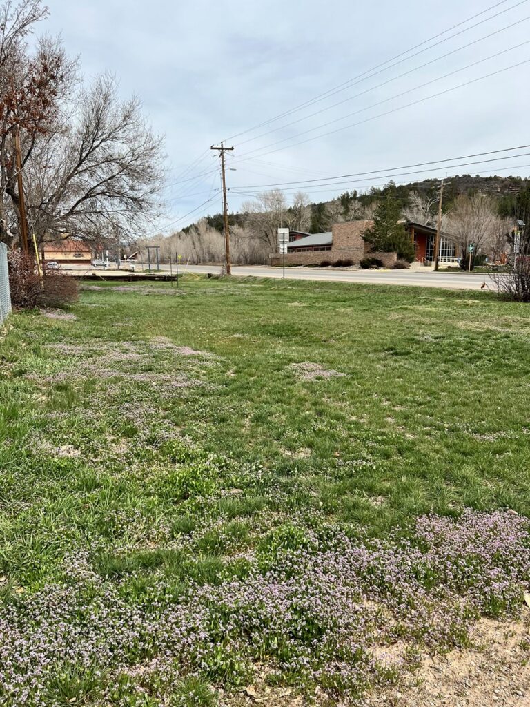 Property photo for land for sale in Dolores County Colorado