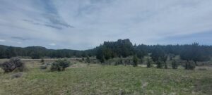 Property photo for land for sale in Modoc County California