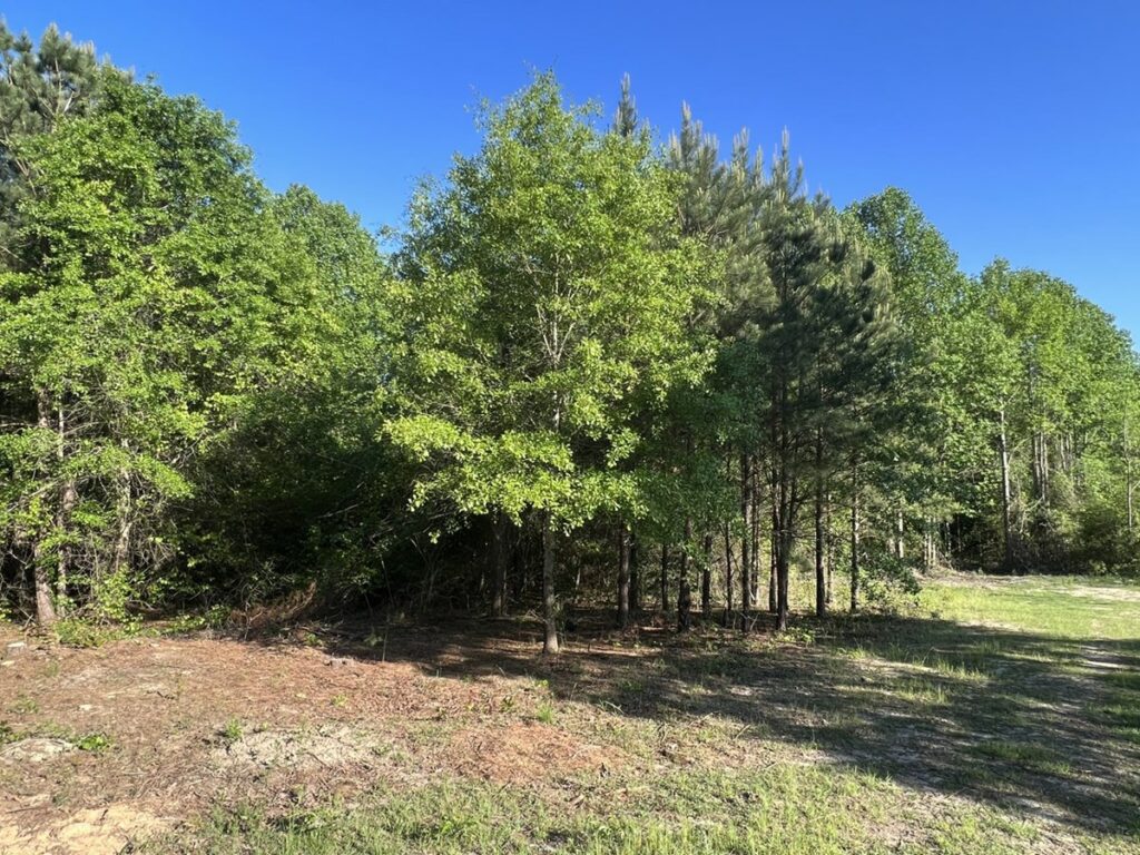 Property photo for land for sale in Montgomery County North Carolina