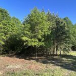 Property photo for land for sale in Montgomery County North Carolina