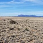 Property photo for land for sale in Torrance County New Mexico