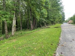 Property photo for land for sale in Clinton County Kentucky