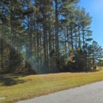 Property photo for land for sale in Perquimans County North Carolina