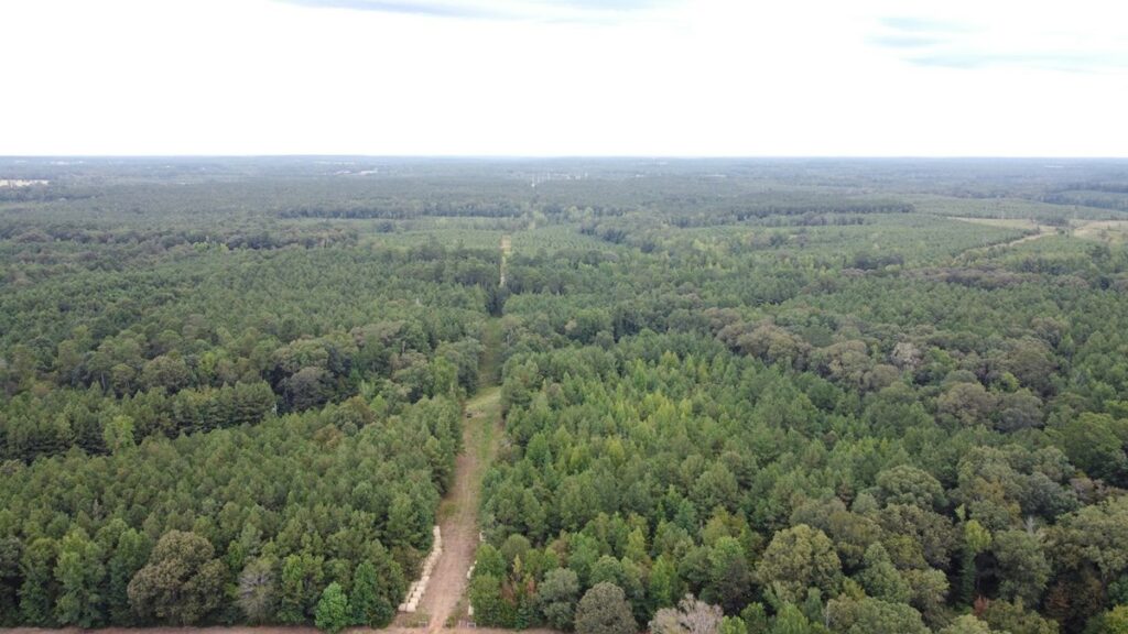 Property photo for land for sale in Lincoln County Louisiana