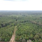 Property photo for land for sale in Lincoln County Louisiana