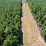 Property photo for land for sale in Simpson County Mississippi