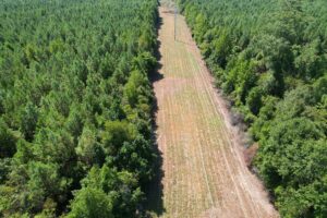 Property photo for land for sale in Simpson County Mississippi