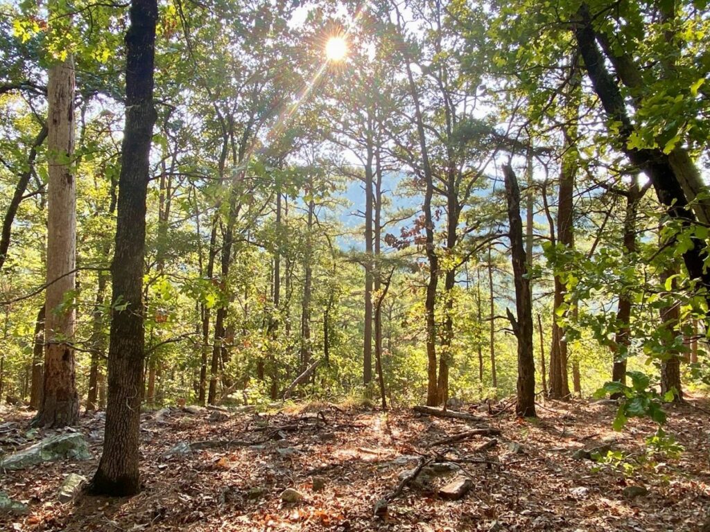 Property photo for land for sale in Pushmataha County Oklahoma