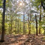 Property photo for land for sale in Pushmataha County Oklahoma