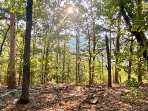 Property photo for land for sale in Pushmataha County Oklahoma