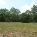 Property photo for land for sale in Howell County Missouri