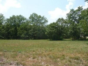 Property photo for land for sale in Howell County Missouri