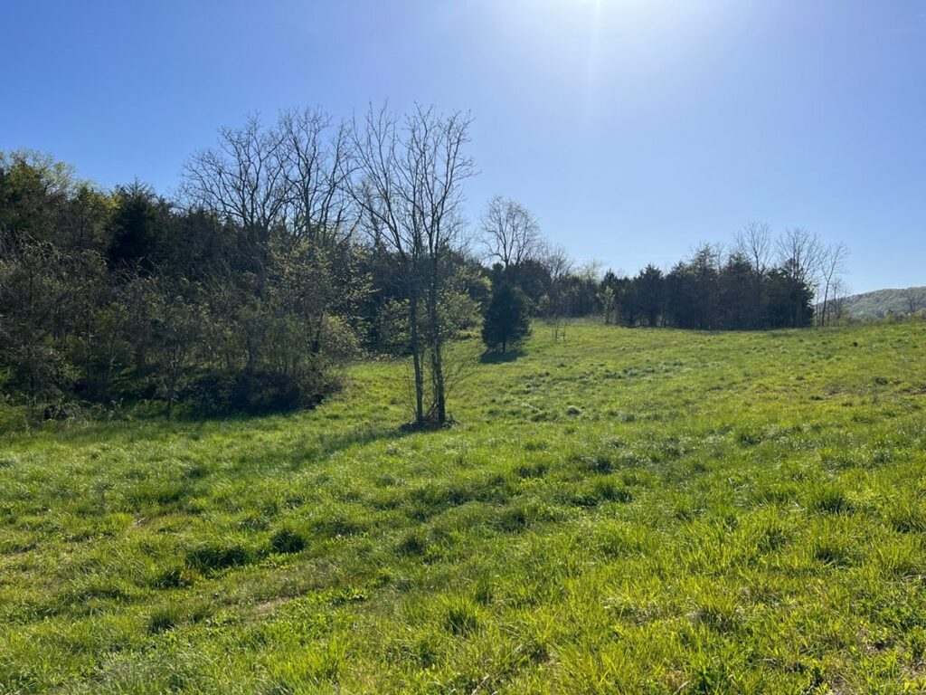 Property photo for land for sale in Hawkins County Tennessee