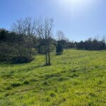 Property photo for land for sale in Hawkins County Tennessee