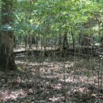 Property photo for land for sale in Boone County Missouri