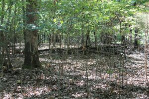 Property photo for land for sale in Boone County Missouri