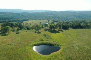 Property photo for land for sale in Van Buren County Arkansas