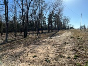 Property photo for land for sale in Smith County Texas