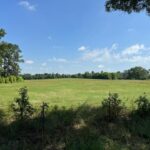 Property photo for land for sale in Morris County Texas