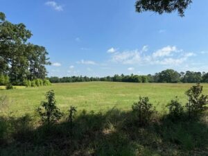 Property photo for land for sale in Morris County Texas