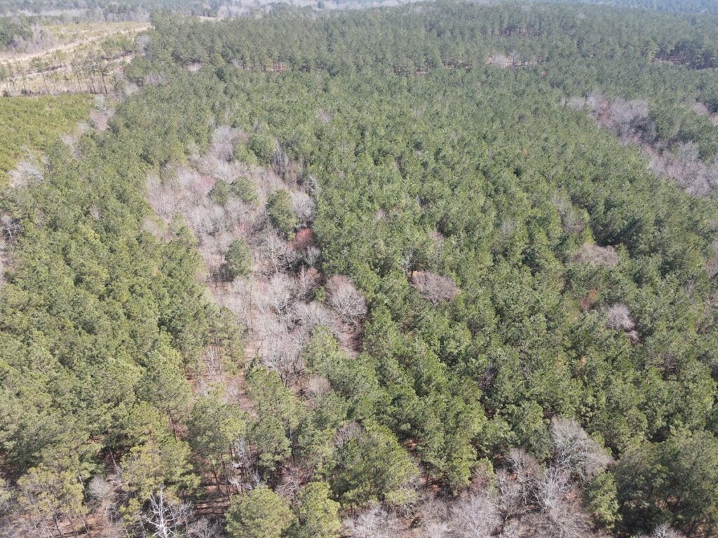 Property photo for land for sale in Nevada County Arkansas