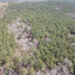 Property photo for land for sale in Nevada County Arkansas