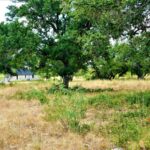 Property photo for land for sale in Brown County Texas