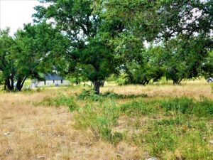 Property photo for land for sale in Brown County Texas