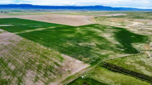 Property photo for land for sale in Judith Basin County Montana