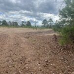 Property photo for land for sale in Dallas County Arkansas