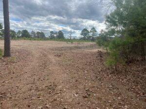 Property photo for land for sale in Dallas County Arkansas