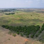 Property photo for land for sale in Custer County Oklahoma