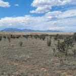 Property photo for land for sale in Santa Fe County New Mexico