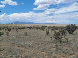 Property photo for land for sale in Santa Fe County New Mexico