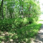 Property photo for land for sale in Patrick County Virginia