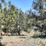 Property photo for land for sale in Yavapai County Arizona