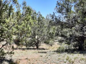 Property photo for land for sale in Yavapai County Arizona