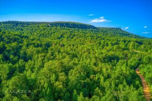 Property photo for land for sale in Boone County Arkansas