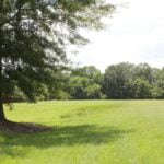 Property photo for land for sale in Lafayette County Louisiana